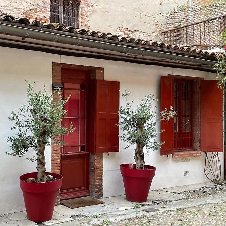 Апартаменты Petite Chartreuse Calme En Plein Coeur De Тулуза Экстерьер фото