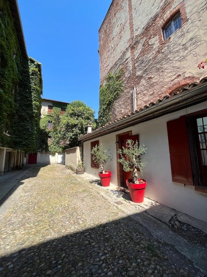 Апартаменты Petite Chartreuse Calme En Plein Coeur De Тулуза Экстерьер фото